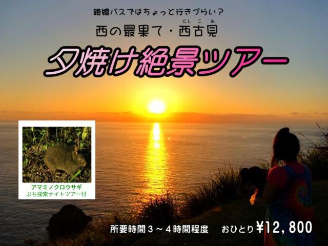Amami Guest House Showa-So Setouchi  Buitenkant foto
