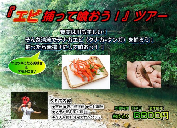 Amami Guest House Showa-So Setouchi  Buitenkant foto